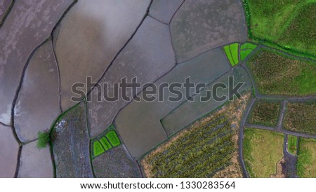 the process of irrigating rice fields