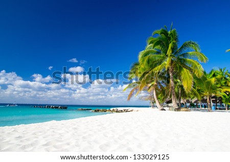  palm trees on tropical beach Royalty-Free Stock Photo #133029125