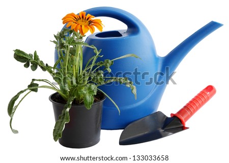 Watering can, a shovel and a flower