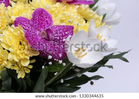 Bouquet, gift, flowers, daisies, orchid, orchids, flower, spring, nature, celebration, womans woman's day, 8 8th march, tulip, tulips, frora, bottle, weeding, decor