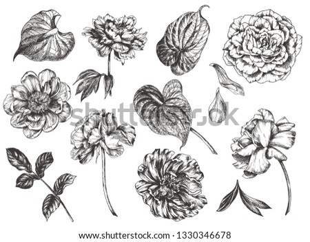 Vintage floral vector illustration, etching hand drawn clip art.