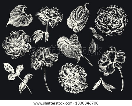 Roses, peonies and anthurium on black background. Vintage floral vector illustration, etching hand drawn clip art.