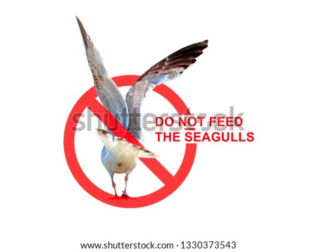 Concept requesting that you do not feed the seagulls. Sign with a seagull, rear view, isolated on white background
