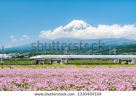 High speed train passing by Mount Fuji in spring, Japan Royalty-Free Stock Photo #1330404104