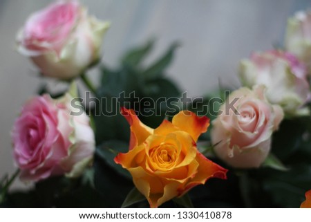 Bouquet of pink roses. Romantic floral decoration. Romantic floral still life. Happy Birthday