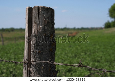 Rustic fence of logs. Beautiful authentic field in the nature reserve with gardens. Stock background, photo