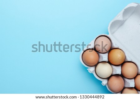 Fresh chicken egg background. Top view with copy space. Overhead view of brown chicken eggs in an open egg carton isolated on blue. Natural healthy food and organic farming concept. Eggs in box