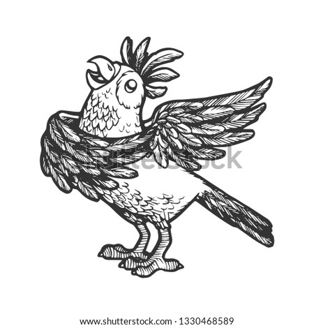 Cartoon singing parrot sketch engraving vector illustration. Scratch board style imitation. Hand drawn image.