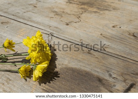 Yellow chrysanthemums on wooden background. Beautiful bouquet of chrysanthemum flowers. Happy Mothers Day. 