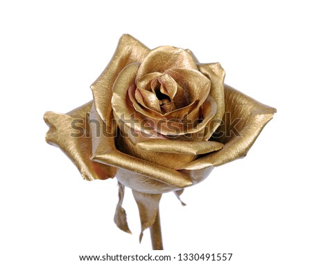 golden rose isolated on white background. Royalty-Free Stock Photo #1330491557