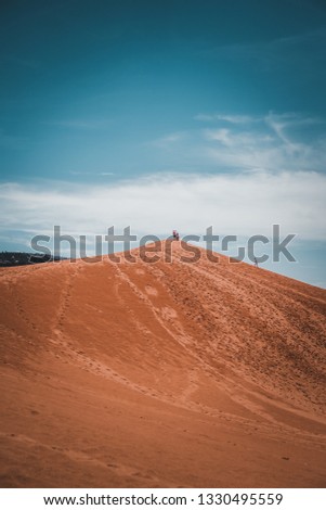 These pictures were taken in Coral Pink Sand Dunes State Park in Utah.