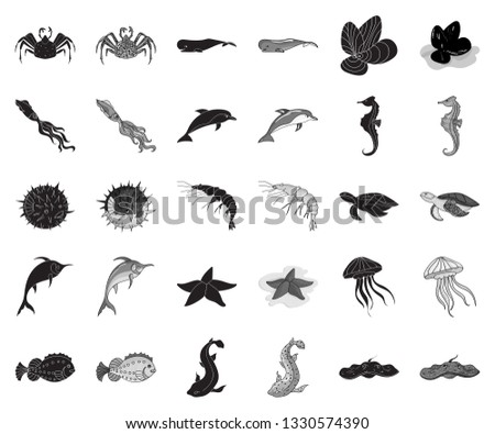 A variety of marine animals black,monochrome icons in set collection for design. Fish and shellfish vector symbol stock web illustration.