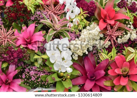 colorful flowers background image 