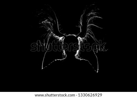 art picture of a funny girl jumping in flight with her hair down to her sides in contrasting light on isolated black background. concept of absurd fantasy and the realization of creative thinking.