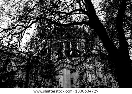 A photograph of st pauls cathedral through the leaves on a tree.