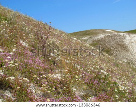 Blooming steppe hills in the summer day against a blue sky