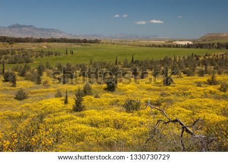 landscape of Cyprus near Nicosia