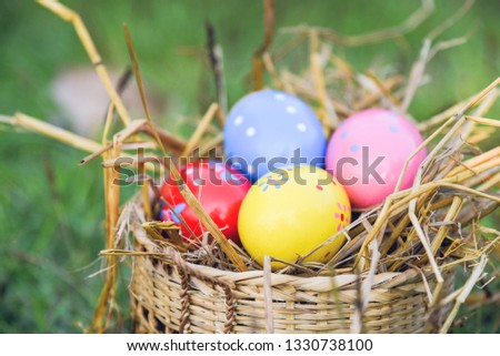 Easter eggs hunt on green grass outdoor / Basket nest with colorful egg decorated festive on meadow