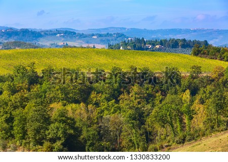 Tuscan landscape with vineyards rows, houses in Tuscany wine region, Italy, Europe