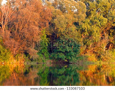 dressed in splendid colors, autumn trees