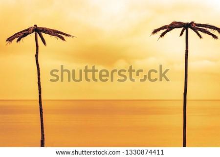 Two palm trees on the background of the sea, yellow golden toning, space for text in the center, the concept of rest, summer, fun