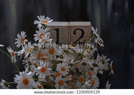 12 figure wooden white cube and daisies