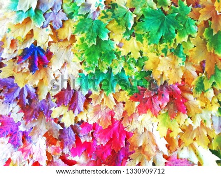 Autumn background with сolorful leaves. Texture. Colorful pattern.