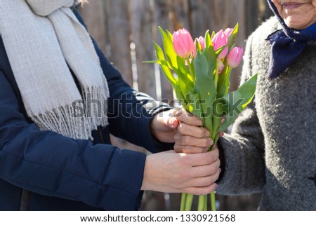 Close up picture of beautiful pink tulips - young woman giving a flower bouquet to her old grandmother