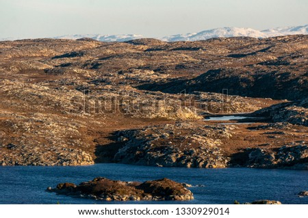 A windy day, rocky wilderness on the island. Lake, around wetlands, heaths. Low vegetation of the coast of Norway. Early spring, wind during sunset.