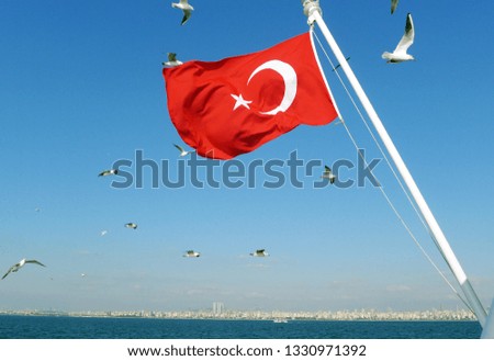Turkey flag with sea gulls around it on a clear blue sky. 
