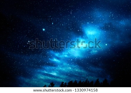 Dark night sky with many stars above of trees silhouette.