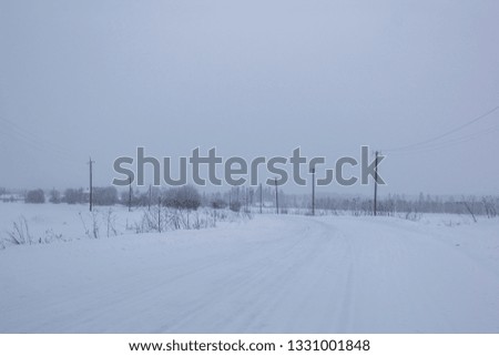 Winter landscape in cloudy weather. Snow picture. Trees in the snow.