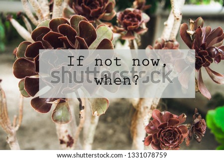 Motivational quotes on flowers photos