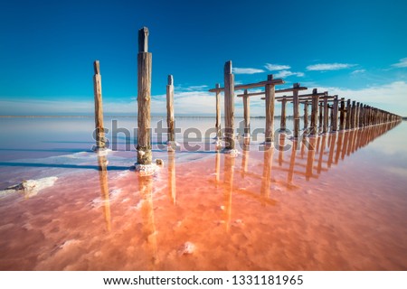 Amazing Real pink color salt lake and deep blue sky minimalistic natural landscape Royalty-Free Stock Photo #1331181965