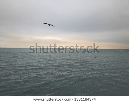view in the black sea horizon at calm weather