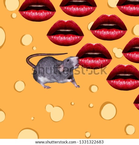 Contemporary art college, rat licks red lips on cheese background
