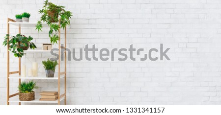 Decorative rack with house plants, books and candeles near white brick wall, copy space. Pure eco design concept