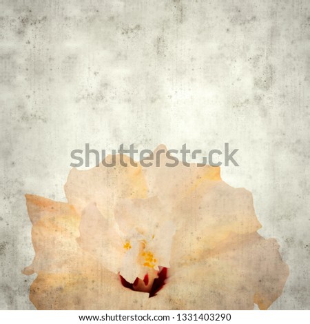textured stylish old paper background, square, with pale hibiscus flower 