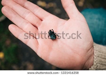 Woman showing dead beetle in her palm first person view 