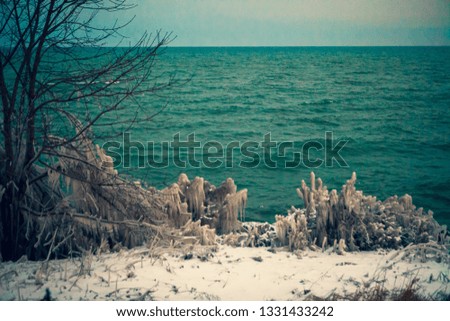 Mississauga, Canada, February 14, 2019: winter idyll of frozen trees and shores in Lake Ontario near Toronto, Canada