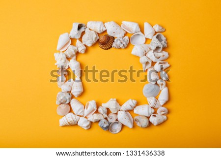 Frame from seashells on orange background. Summer vacation concept. Sea holidays Memories album