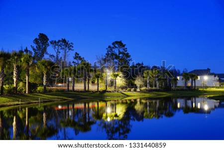 Florida houses and palm tree