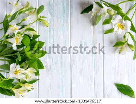 Frame for the text of congratulations with natural flowers of Alstroemeria on a white background. Background for text with alstromeria. Flat lay, top view.