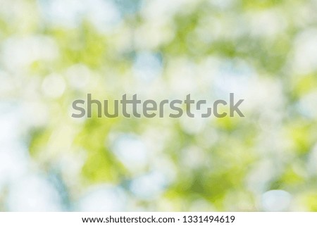 Abstract blurred spring background with white, green and yellow spots from blooming garden