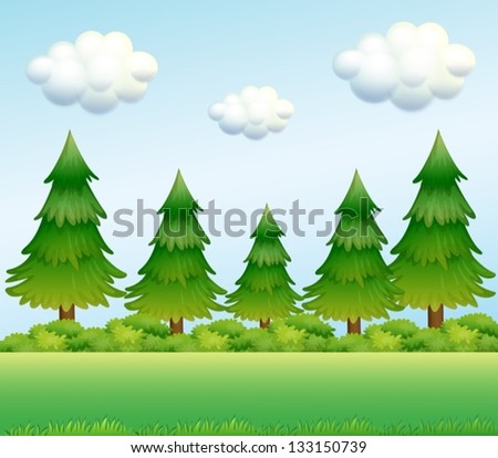 Illustration of the green pine trees