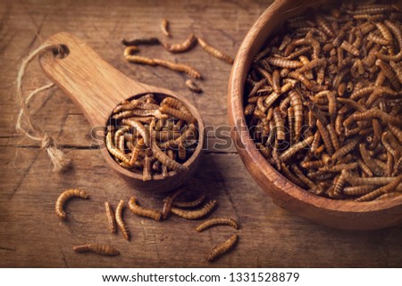 Edible mealworms in a wooden spoon Royalty-Free Stock Photo #1331528879