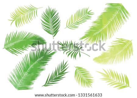 Bright tropic palm leaves set, individual elements, classic and universal design