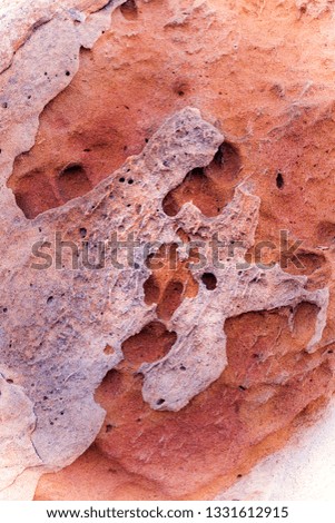 TEXTURE OF WEEDED ROCKS BY THE SEA IN THE COAST OF CADIZ IN SPAIN