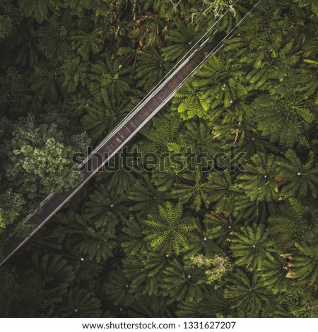Aerial photo of bridge in jungle