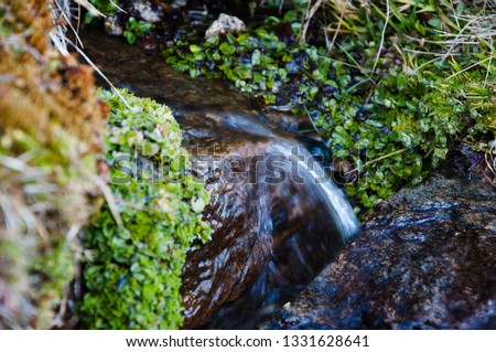A beautiful small flowing river due to snow melt forming a clean cascade with fresh cool water surrounded by vegetation on a wild stone mountain 